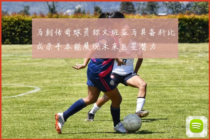 马刺传奇球员称文班亚马具备科比式杀手本能展现未来巨星潜力